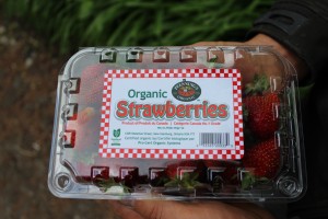 New strawberry packaging