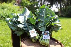 Broccoli Leaf bunch