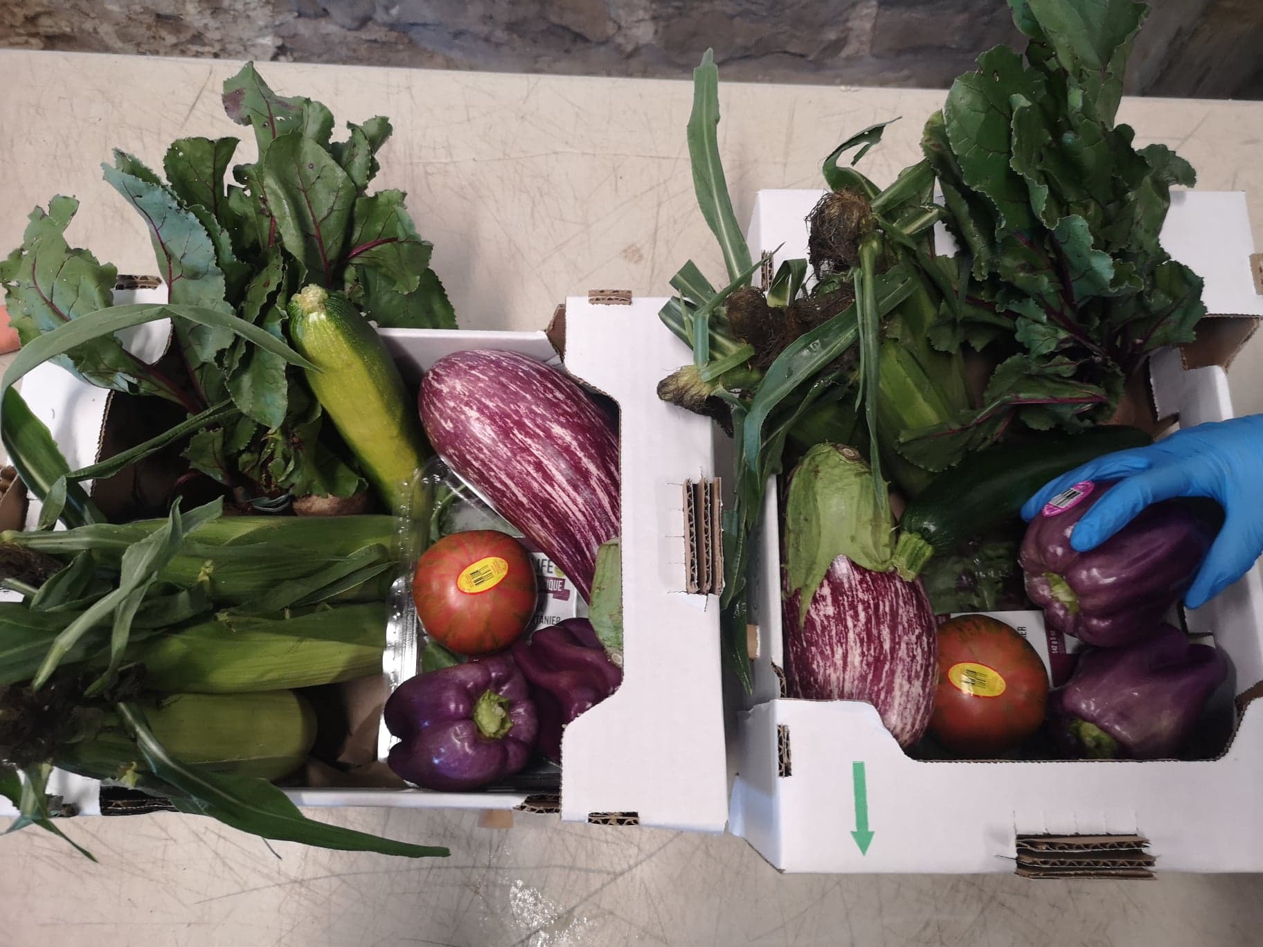 Our organic Bounty By the Box food boxes.