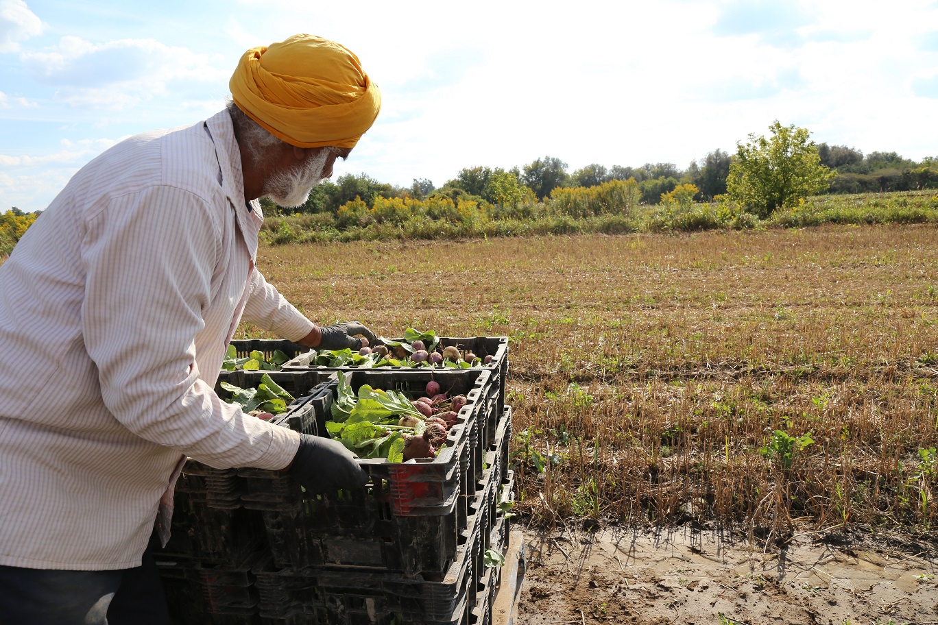 Farmer