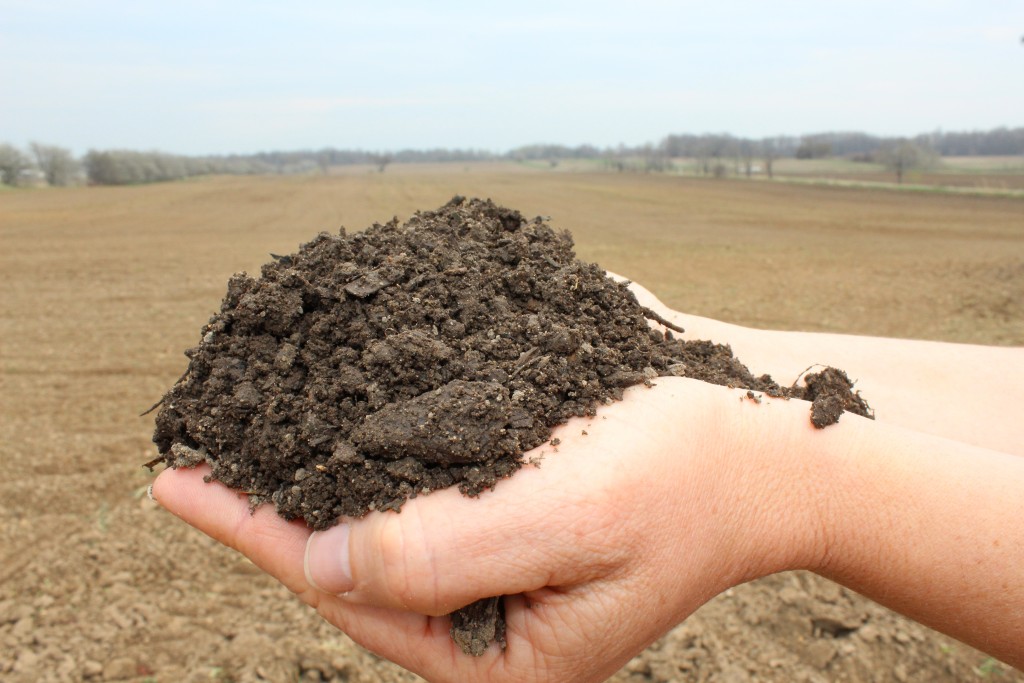 Image for titled: It’s all about the soil
