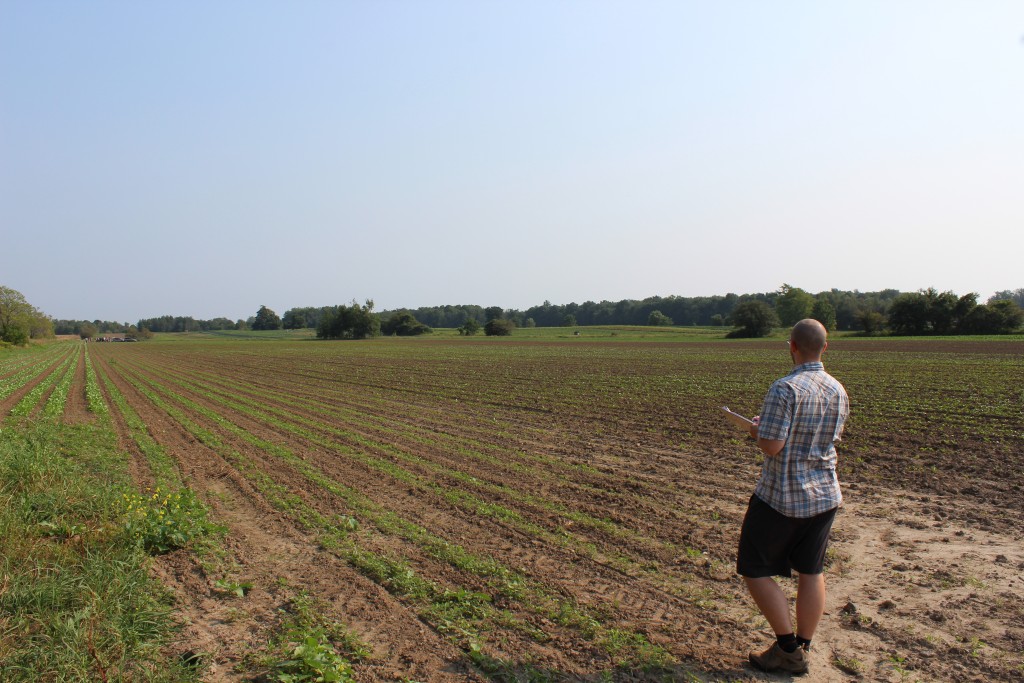 Image for titled: 2015 Organic Inspection