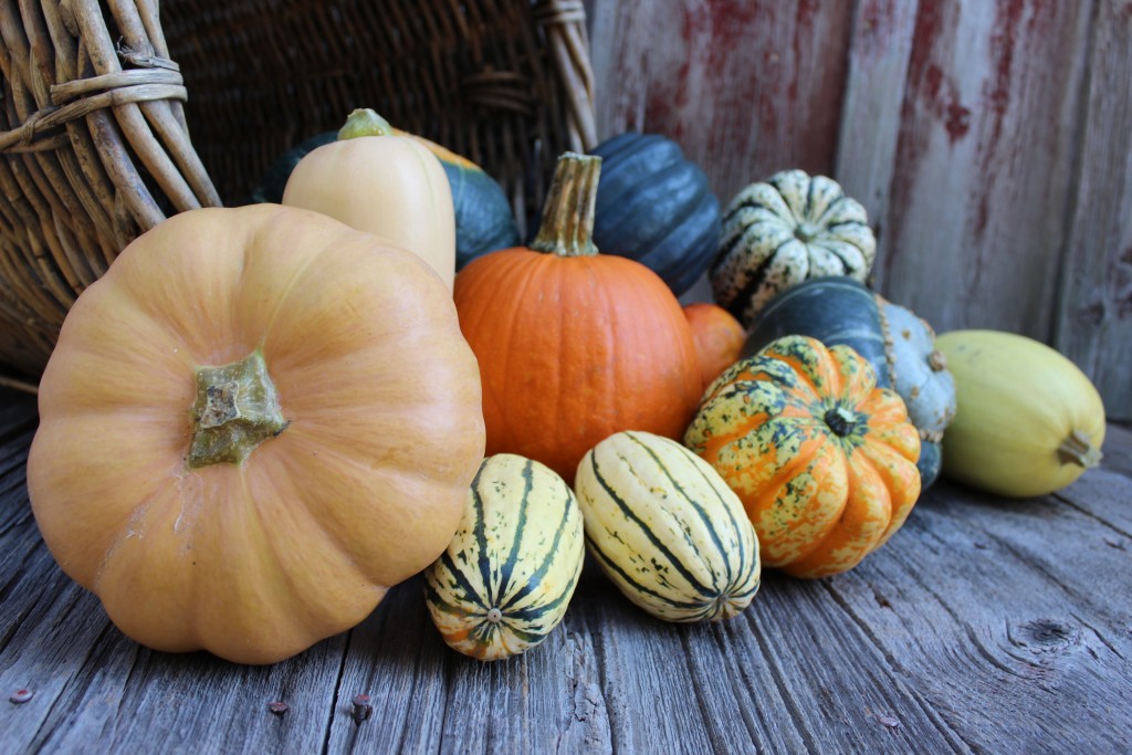 Image for titled: Sweater Weather!