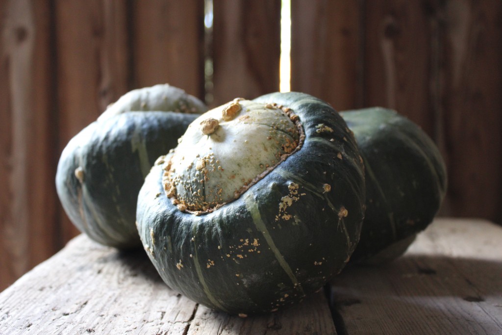 Image for titled: Squash Challenge: Buttercup