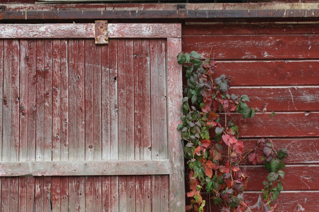 Image for titled: 2015 Food Safety Inspection