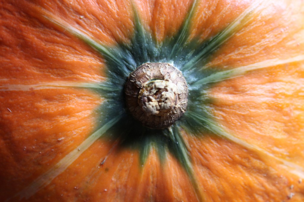 Image for titled: Squash Challenge: Orange Kabocha