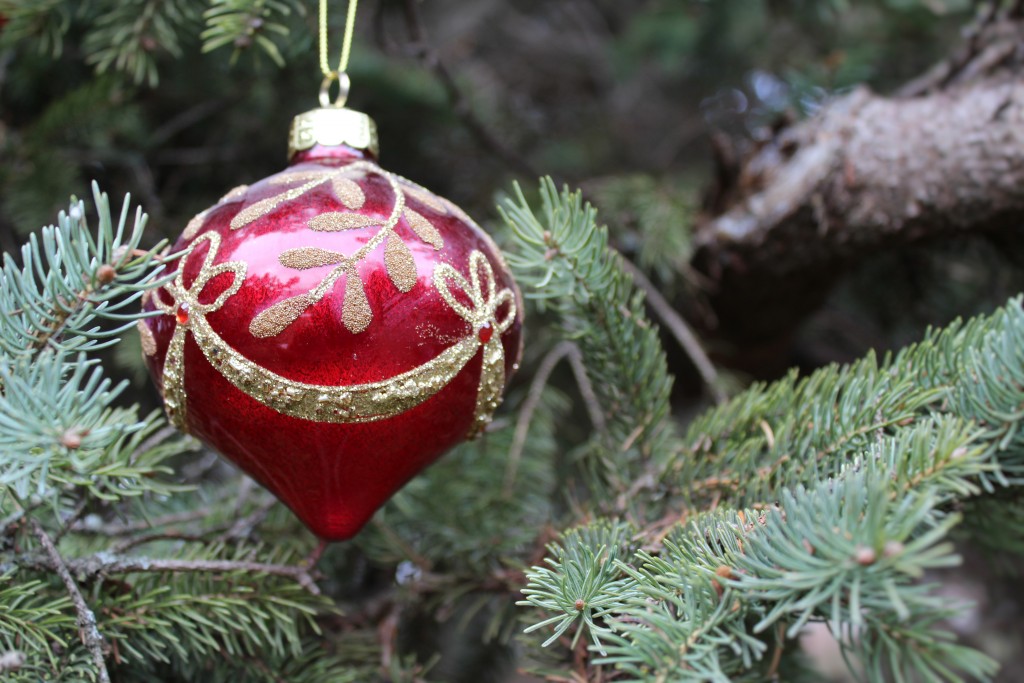 Image for titled: Green Christmas