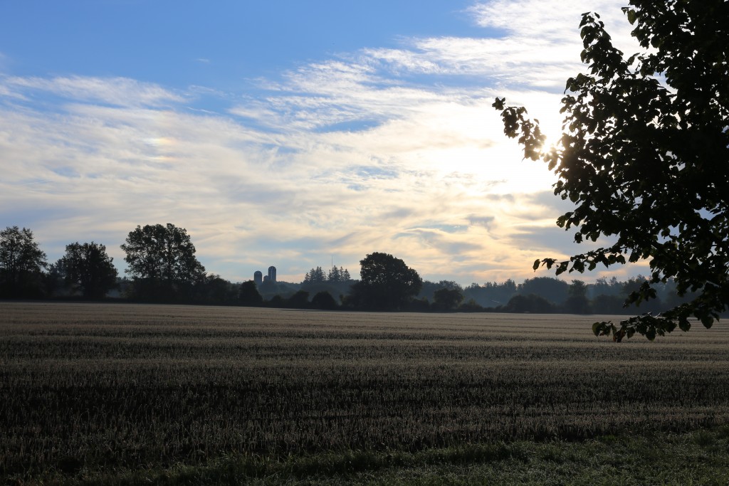 Image for titled: Season in review – Challenges and Triumphs