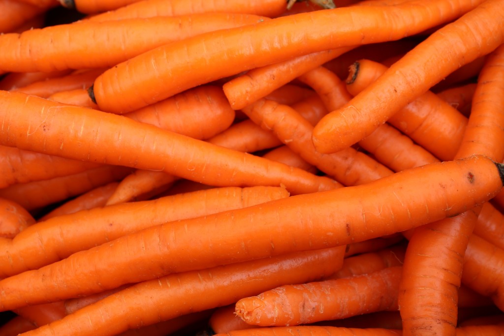 Image for titled: Guelph Organic Conference 2016