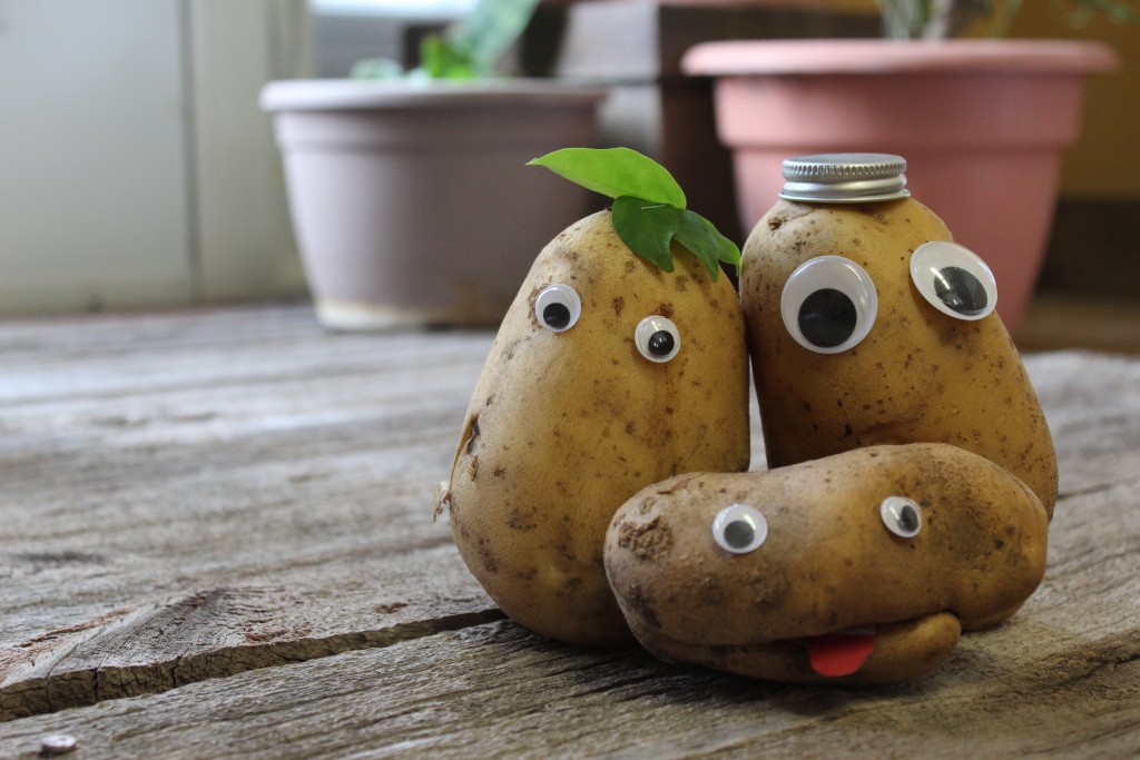 Image for titled: I can’t take my eyes off of you…