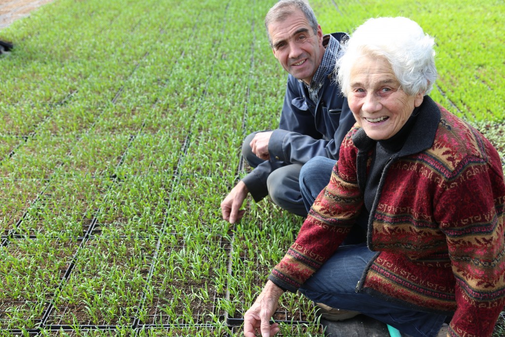 Image for titled: Good Things are Growing!