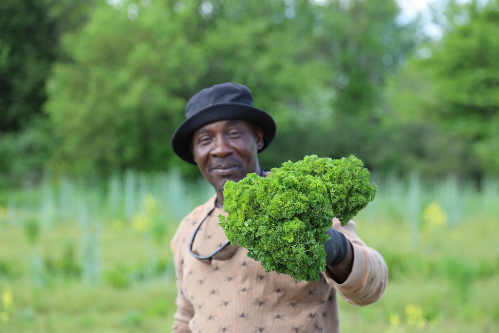 Image for titled: May Fields