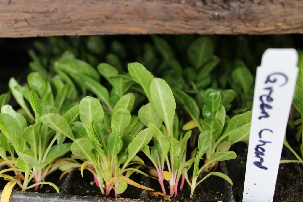 Image for titled: 2016 Season Preview