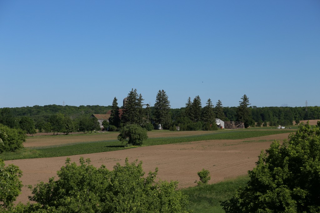 Image for titled: 14 July: Film on the Farm