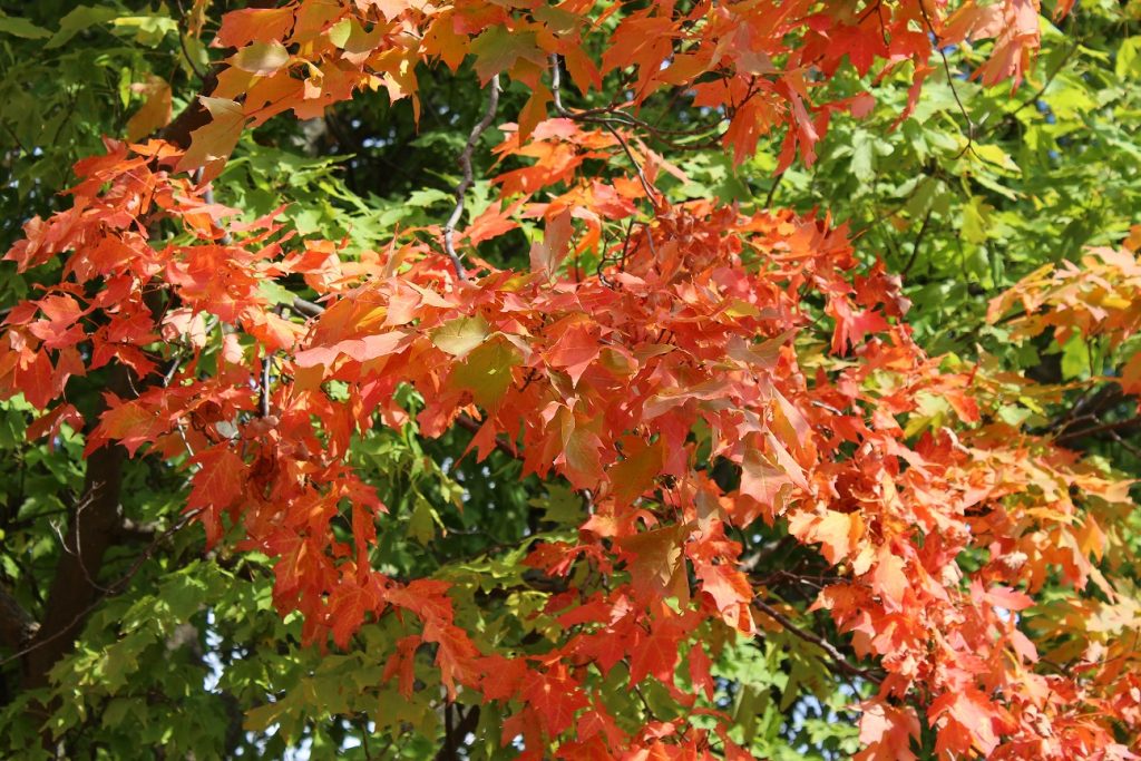 Image for titled: Back to School – New Beginnings