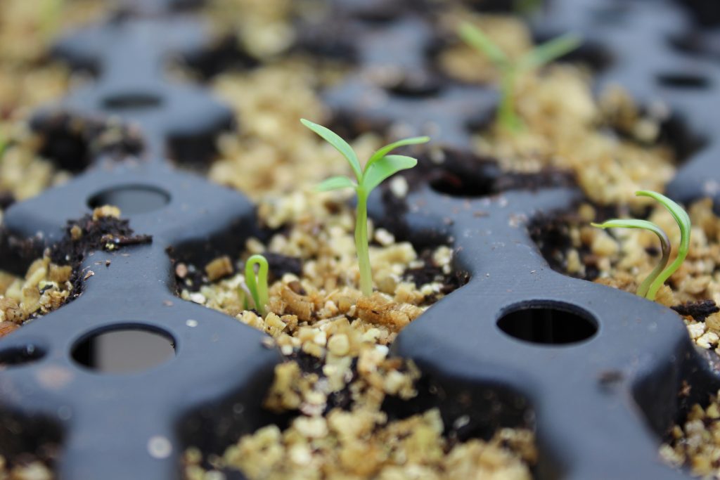 Image for titled: Potential and Possibilities