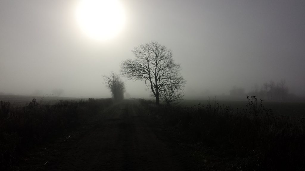 Image for titled: Post-Season Review – 2016 – Triumphs and Challenges