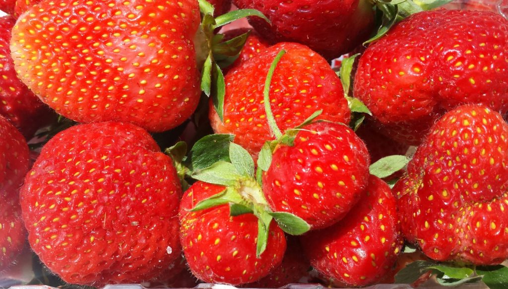 Image for titled: We LOVE Local, Organic Strawberries!