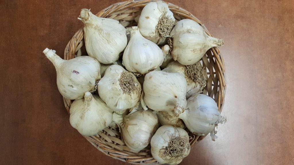 Image for titled: 12 Days of Local Food – Garlic