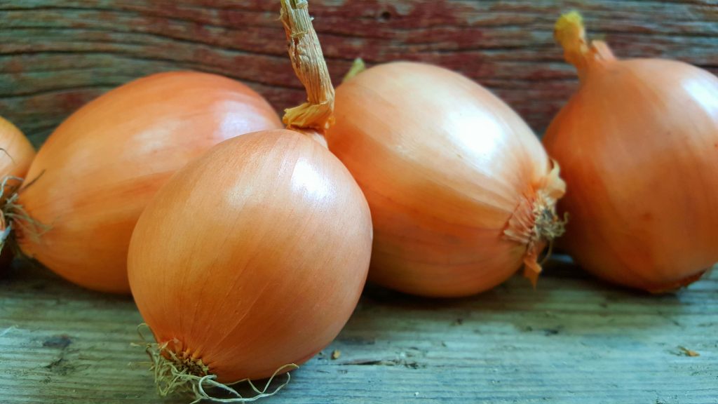 Image for titled: 12 Days of Local Food – Onion