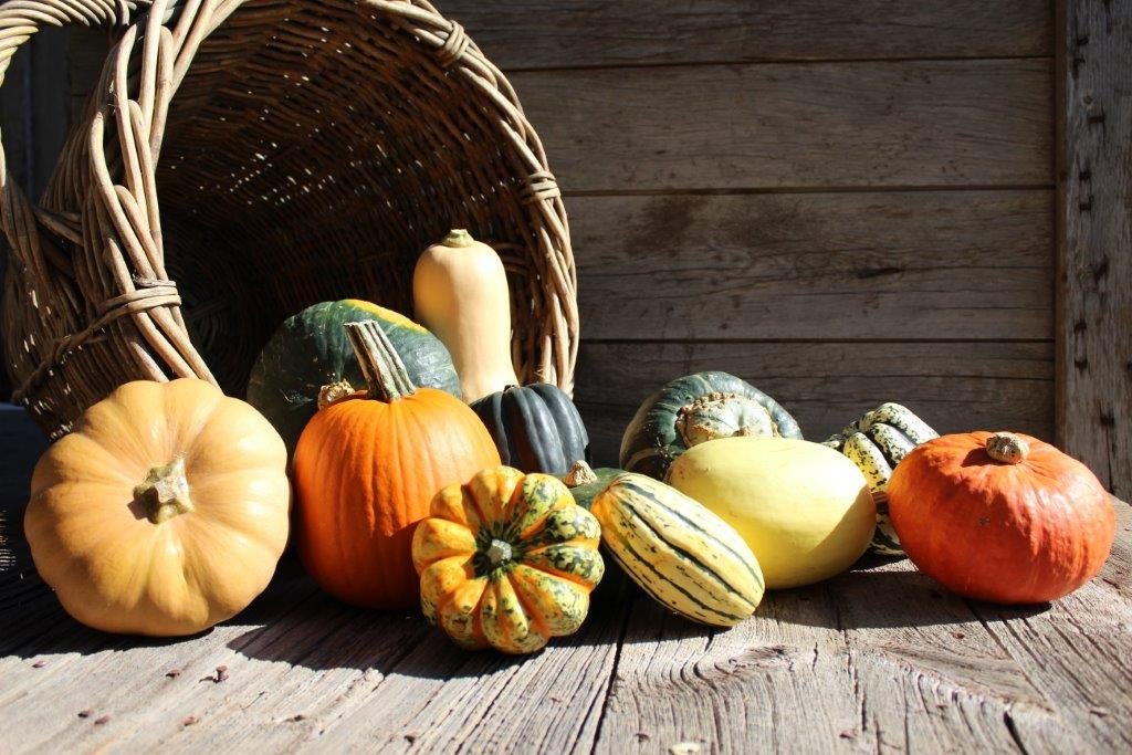 Image for titled: 12 Days of Local Food – Squash