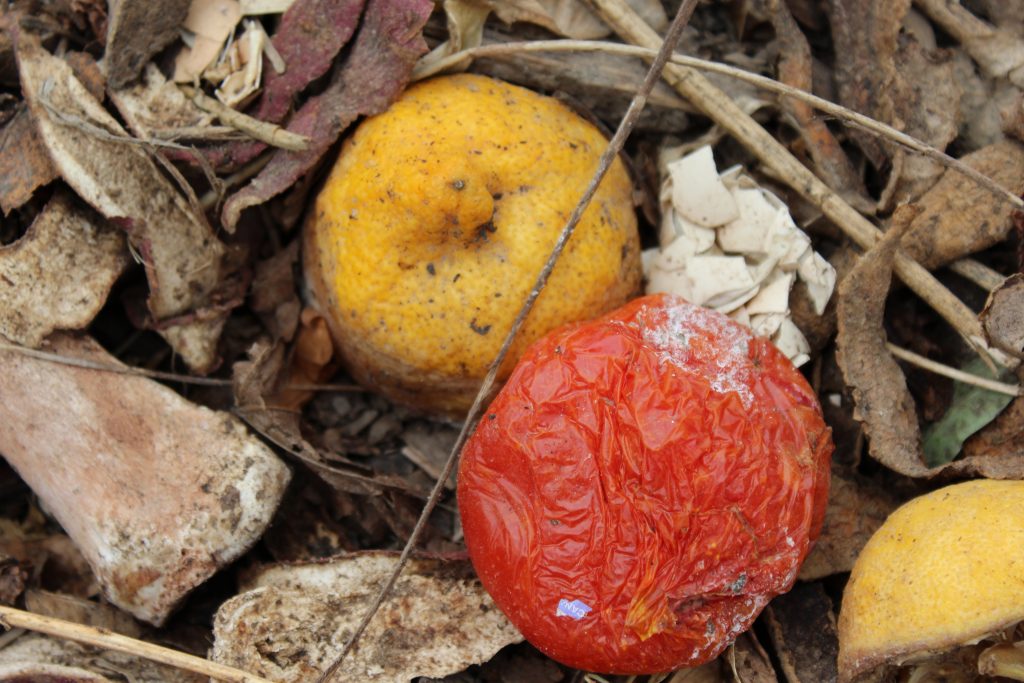 Image for titled: 6 Things We Do to Reduce Food Waste