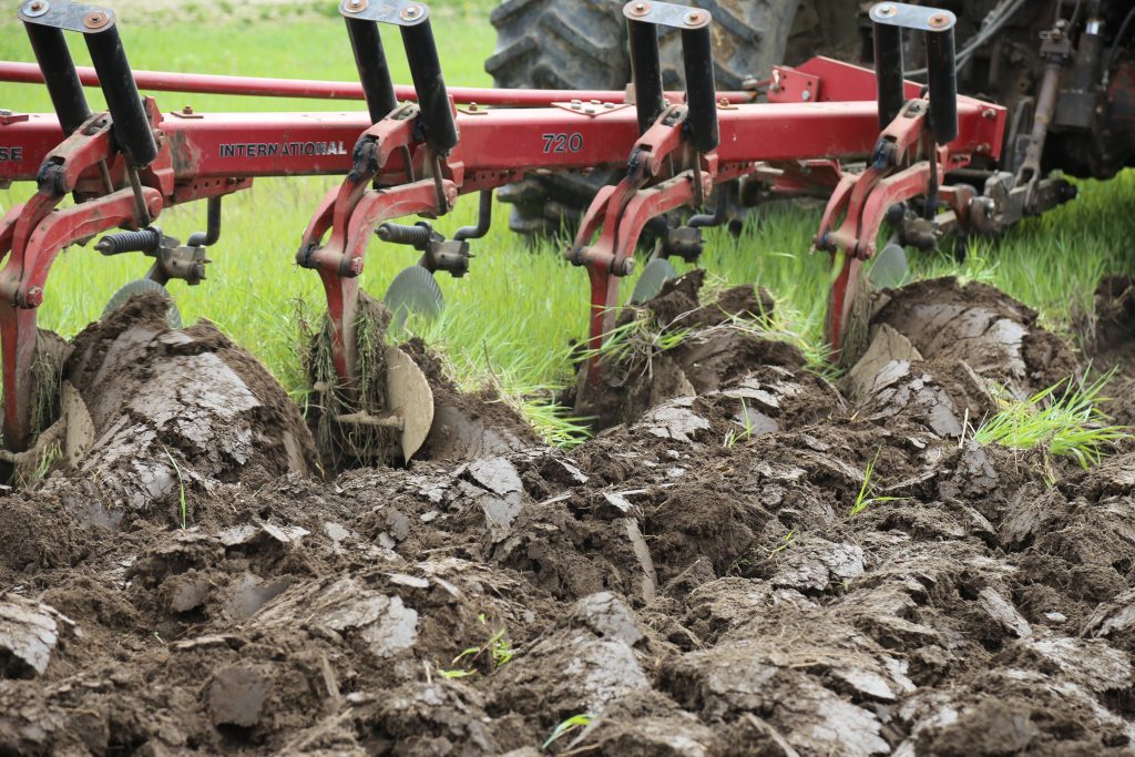 Image for titled: Organic Week Interviews: Techniques – Wolfgang Pfenning