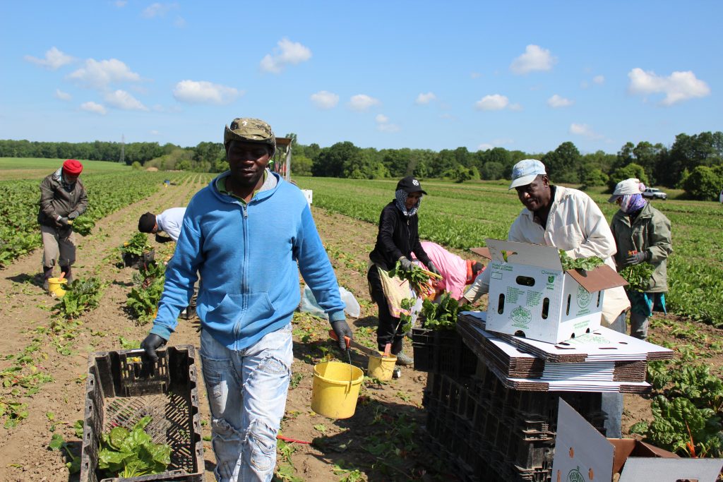 Image for titled: Organic Week Interviews: The Value of Work – Jenn Pfenning