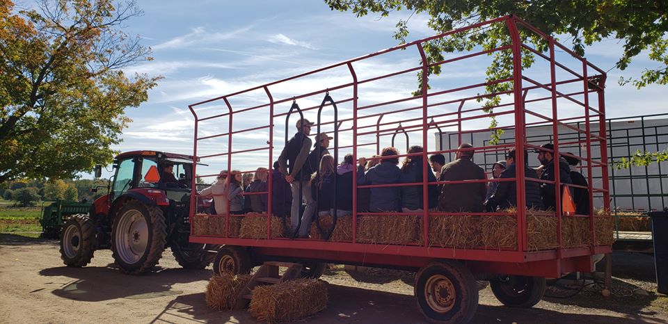 Image for titled: Market Day