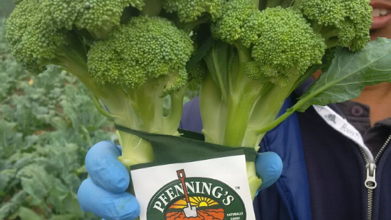 Image for titled: Buy Import, Support Local?