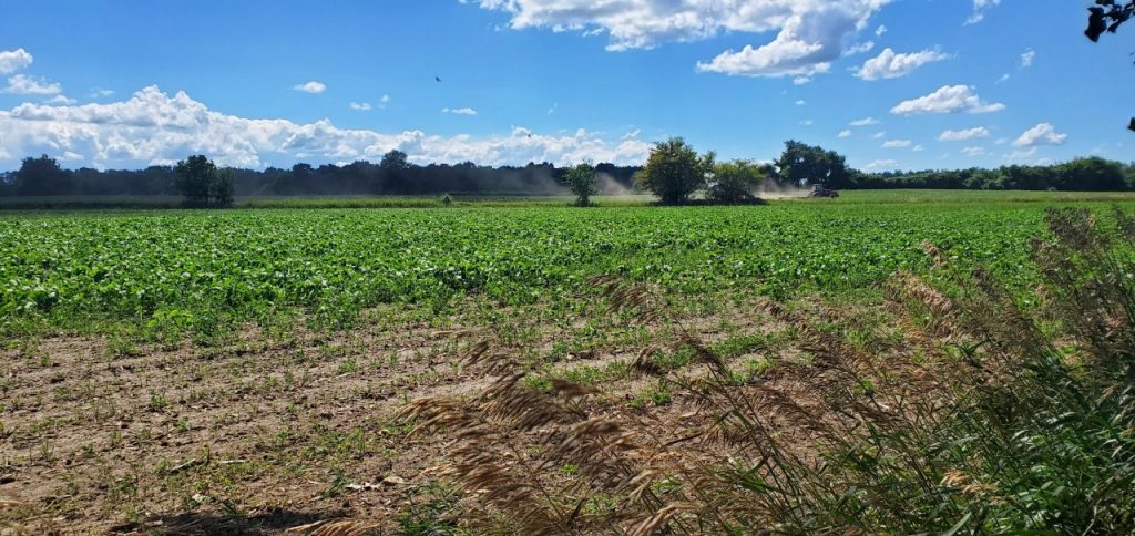 Image for titled: Introducing: True Cost Tuesdays