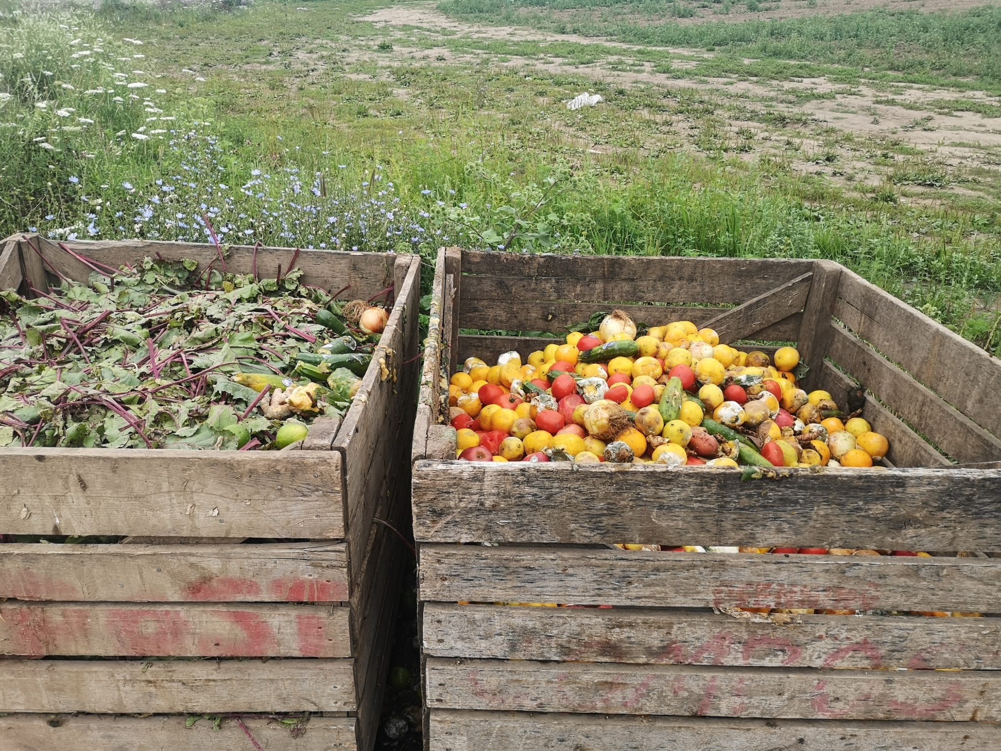 The Many Layers of Food Waste | Pfenning's Organic Farm