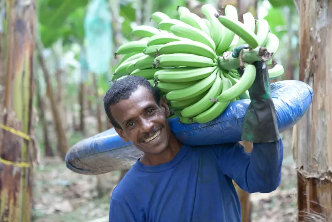 The Value of Fairtrade | Pfennings Organic Farms