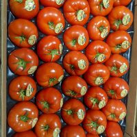 Carpaccio Tomatoes